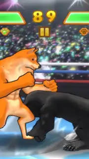 Fight of Animals capture 18