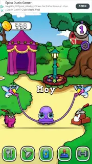 Moy 7 capture 8