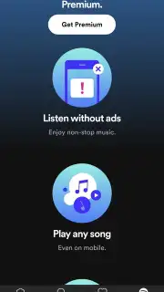 Spotify Lite capture 6