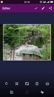 Smart Gallery - Photo Manager capture 4