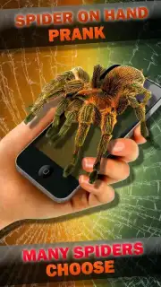 Паук в Камере Пранк capture 1