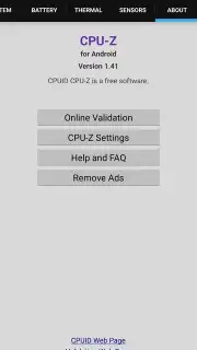 CPU-Z capture 10