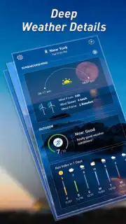 Local Weather Widget capture 8