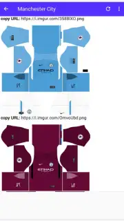 DLS Kits capture 3
