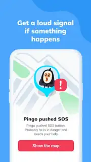 Pingo capture 3