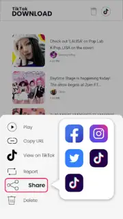 Downloader for TikTok capture 3