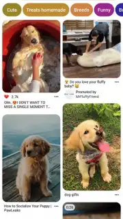 Pinterest capture 3