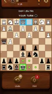 Chess capture 9