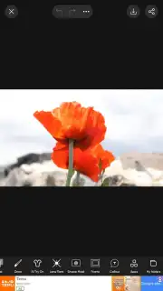 PicsArt capture 2
