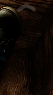Buried capture 3