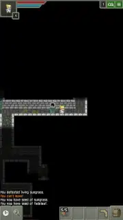 Lovecraft Pixel Dungeon capture 5