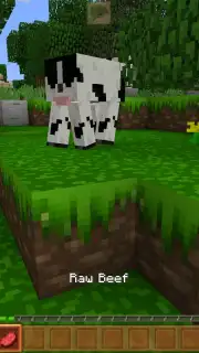 King Craft capture 6