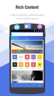 Браузер Internet capture 4