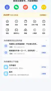 Baidu capture 18
