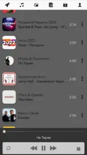 Z2.FM capture 2