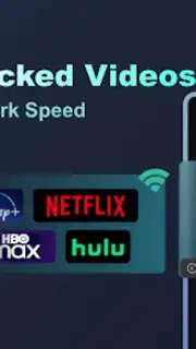 Tesla Proxy capture 4