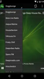 Free Radio House Live capture 3