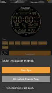 Amazfit T-Rex - Watch Face capture 3