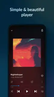 Lark Player - MP3 Music Player capture 2