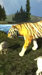 Tiger Simulator capture 3