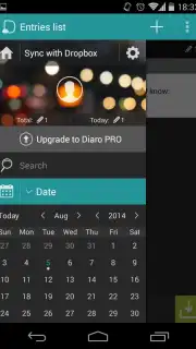 Diaro capture 2