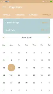 Yoga Guru capture 1