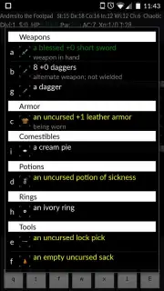 NetHack capture 8