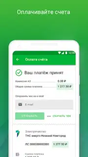 ТНС энерго capture 4