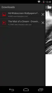 Broloader Video Downloader capture 12