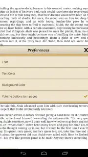 Ebook Reader capture 13
