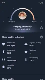 Owlet Dream capture 7