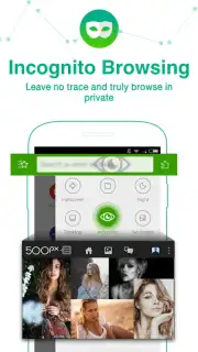 Dolphin Browser HD capture 4