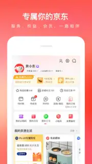 Jingdong capture 10