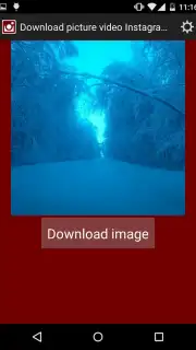 Скачать картинку видео из инстаграм capture 5