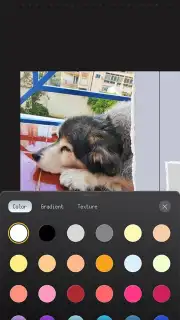 ProCCD capture 9