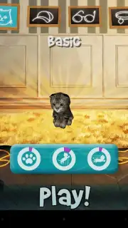 Cat Simulator capture 2