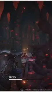 DarkBind capture 3