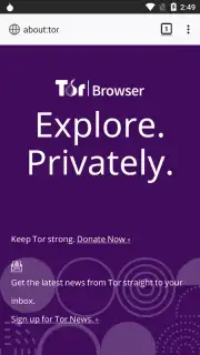 Tor Browser capture 18