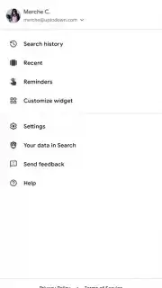 Google App capture 4