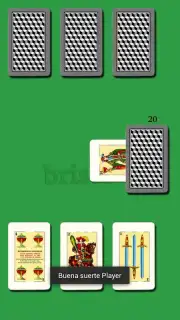 Brisca capture 5