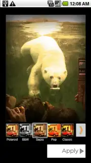 Polaroid PoGo App capture 4