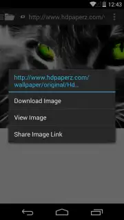 Broloader Video Downloader capture 13