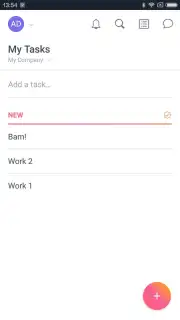 Asana capture 6