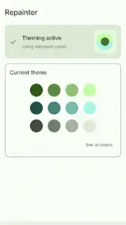 Repainter · dynamic themes capture 9