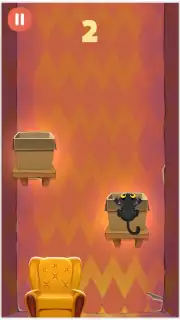 Kitty Jump capture 3