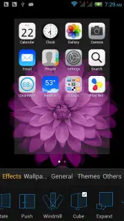 рабочий стол «Куку» capture 2