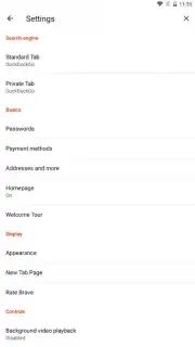 Brave Nightly (devs & testers) capture 6