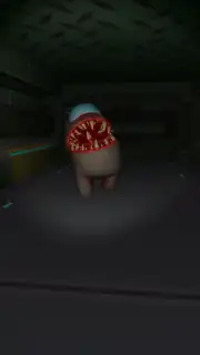Online Imposter 3D capture 9