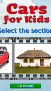 Cars capture 9