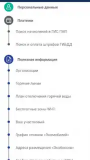 Госуслуги СПб capture 5